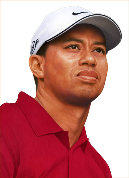 �S���t�g�D�f�C14